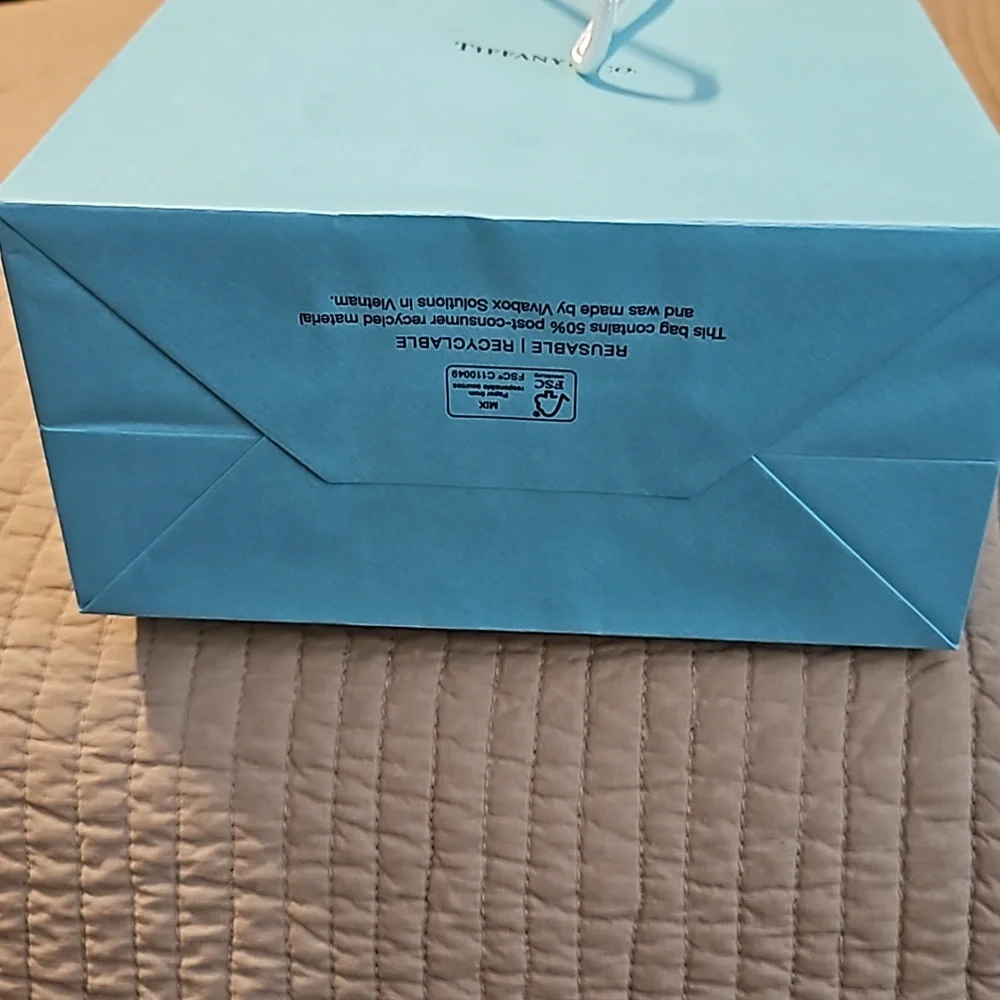 Authentic Tiffany and Company Gift Bag